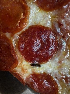 Villa Fresh Italian Kitchen