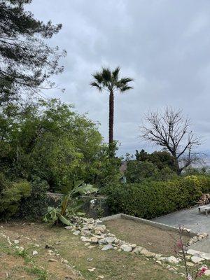 NN Elite Landscape & Tree Experts