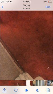 Carpet Village Warehouse