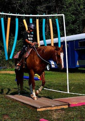 Our therapy lessons! Our kids love the obstacle course!