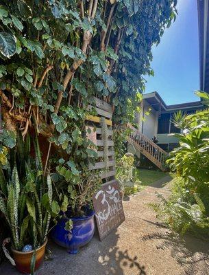 Come thru the jungle to our private Home studio across street from Magic Sands