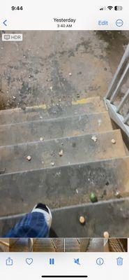 Glass trash and beer bottle caps ALL over the outdoor hallways