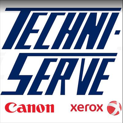 Techniserve It Services, Inc