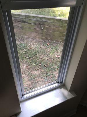Window seal cleaning