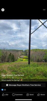 Royer Brothers Tree Service