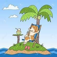 Islands Canine School