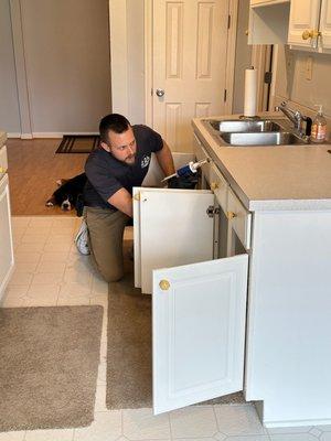 Berner Pest Solutions