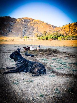 Another Day in paradise.