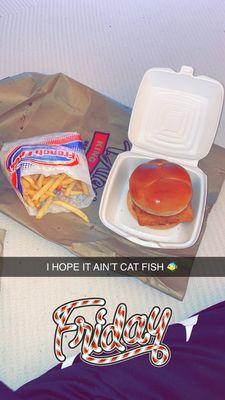Fish Sandwich & fries