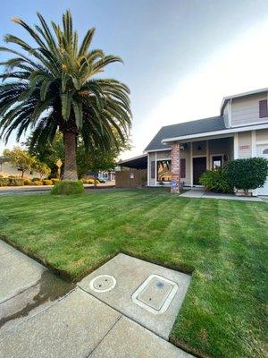 Lyno Sanz Landscaping Service