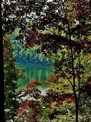 Goose Point Campground