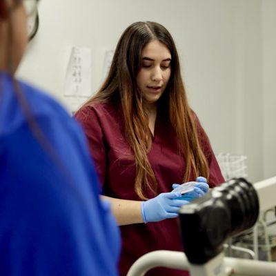 Mission Career College