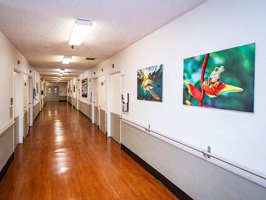 North Valley Nursing Center