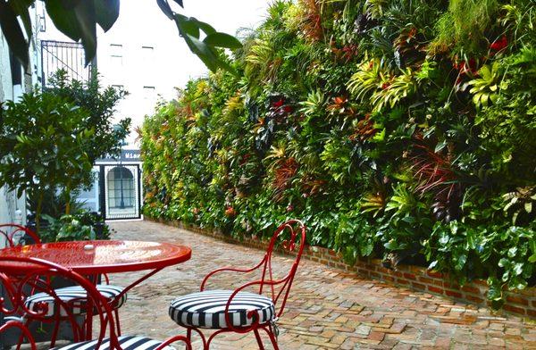 Biophilc Design Vertical Garden / Green wall Miami, Florida