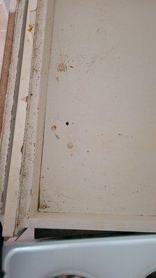 Mean to Clean Orlando