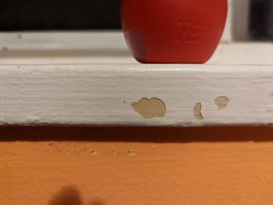 Royal Cleaning Services