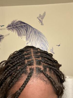 As you can see my braids are going all over the place. Not to mention i asked for small and got whatever size they felt like giving me. 250$