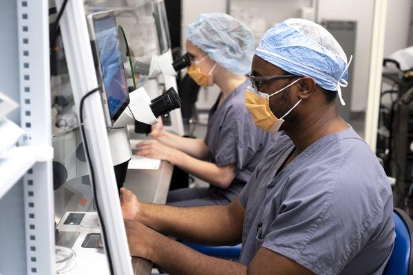 Embryologists at work in our state-of-the-art IVF laboratory