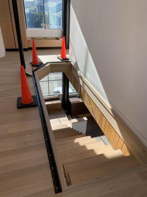 Michigan Safe Movers