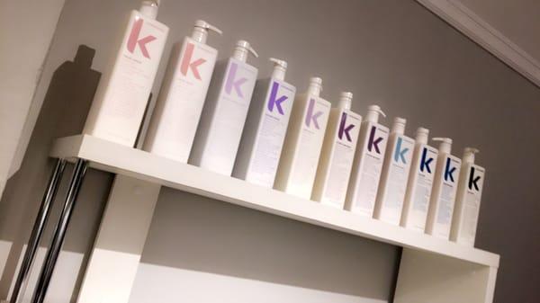 Stella and Shay carries Kevin Murphy!