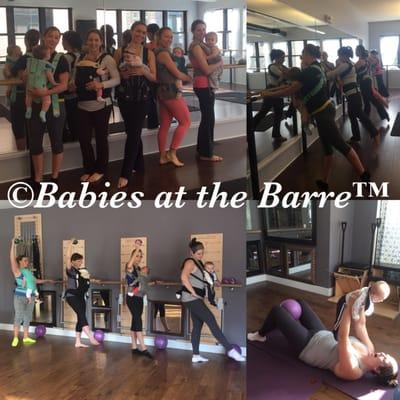 Babies at the Barre