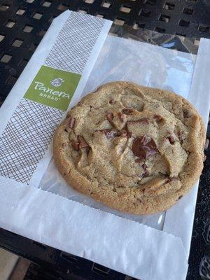 The best chocolate chip cookies