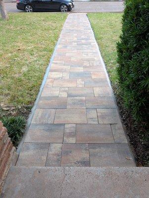 Native Texas Landscape