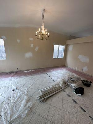 Santis Quality painting