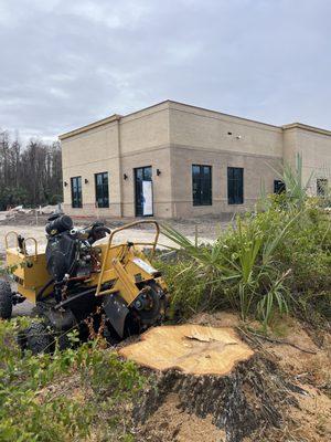 KB’s Stump Removal