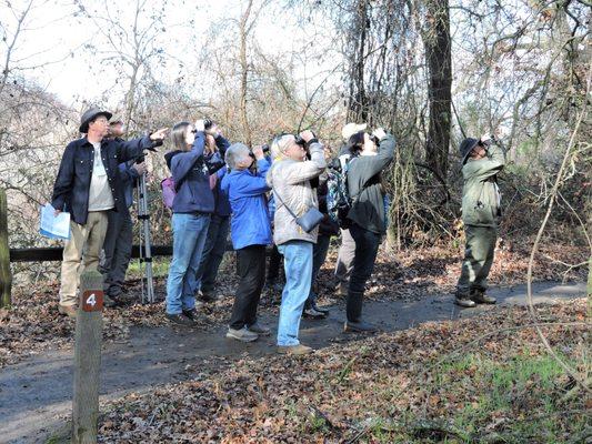 Altacal Audubon Society