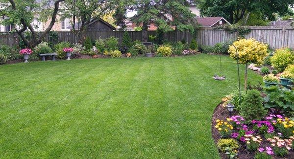 Architect Landscaping