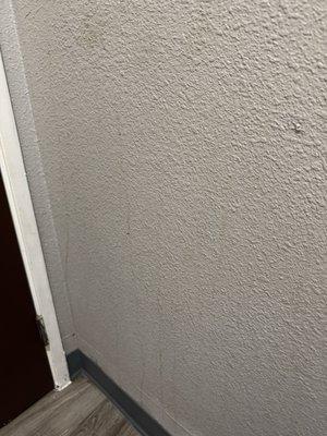 Smoke stains running down the walls from bathroom condensation
