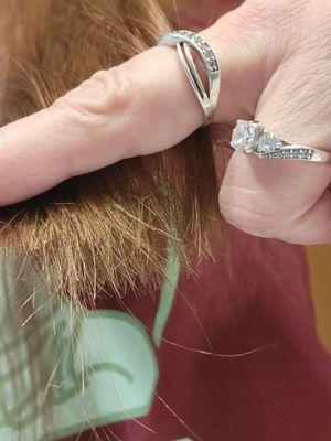 Fantastic Sams Hair Salons