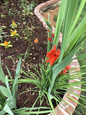 Wellington Elementary