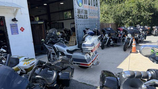 Motor Export Experts