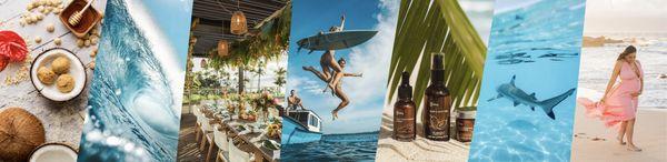 the hawaiian lifestyle studio