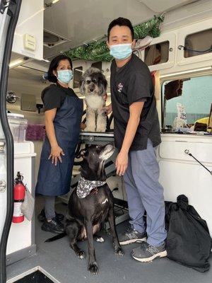 Puppy Love Mobile Grooming