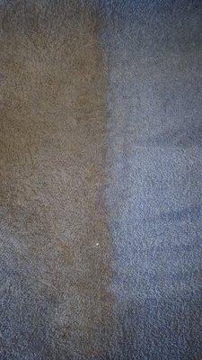 Cleaning Innovations Carpet Cleaning