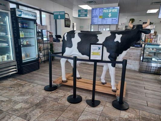 Meadows Frozen Custard - Latrobe