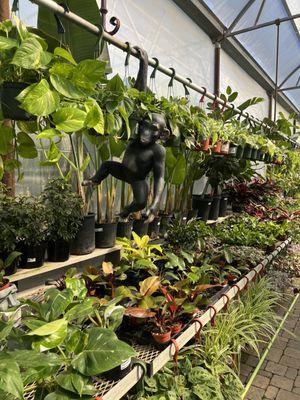 Desert Horizon Nursery