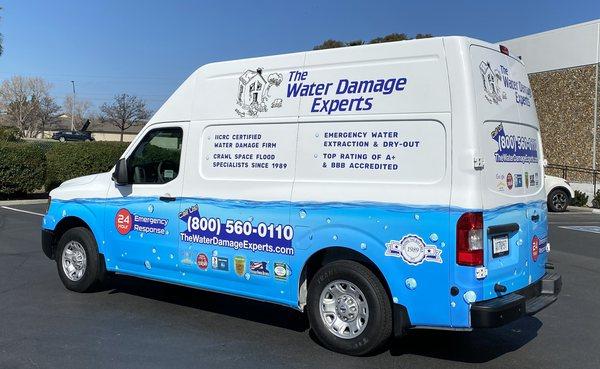 The Water Damage Experts