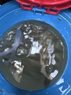 Sandy Hook Bait & Tackle