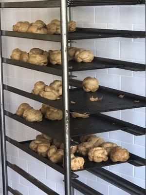 Fresh eclair shells :) (no minis today....)