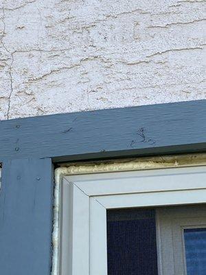 Freedom Construction