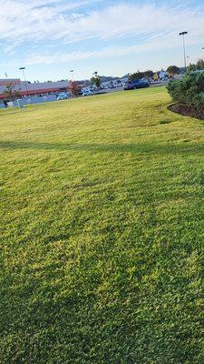 Axel Lawn Care & Landscaping