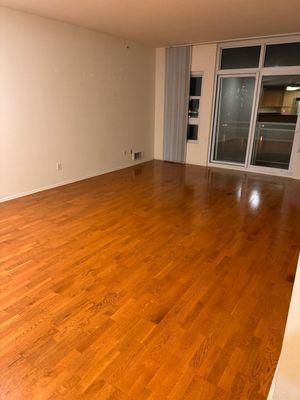 Tidy Magic Clean Solution