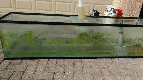 Pic you can see a 85 gallon that is full of allergy before pick