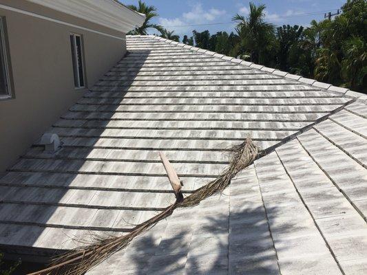 Davie Pressure Washing