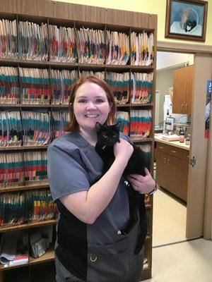 Village Royale Animal Clinic