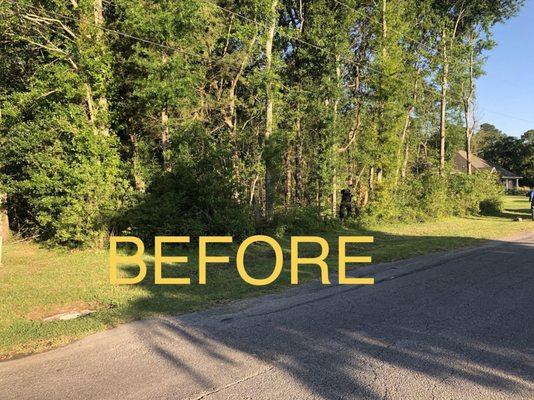 Darby's Tree Service LLC